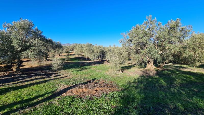 Foto 822caf96-322b-4b80-8a64-311b03f26699. Finca rústica a Loja