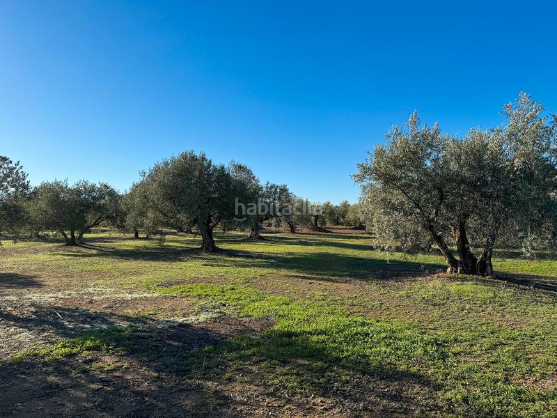 Foto 8eaeb76c-923d-4d24-8434-0b4abf448d7d. Finca rústica a Loja