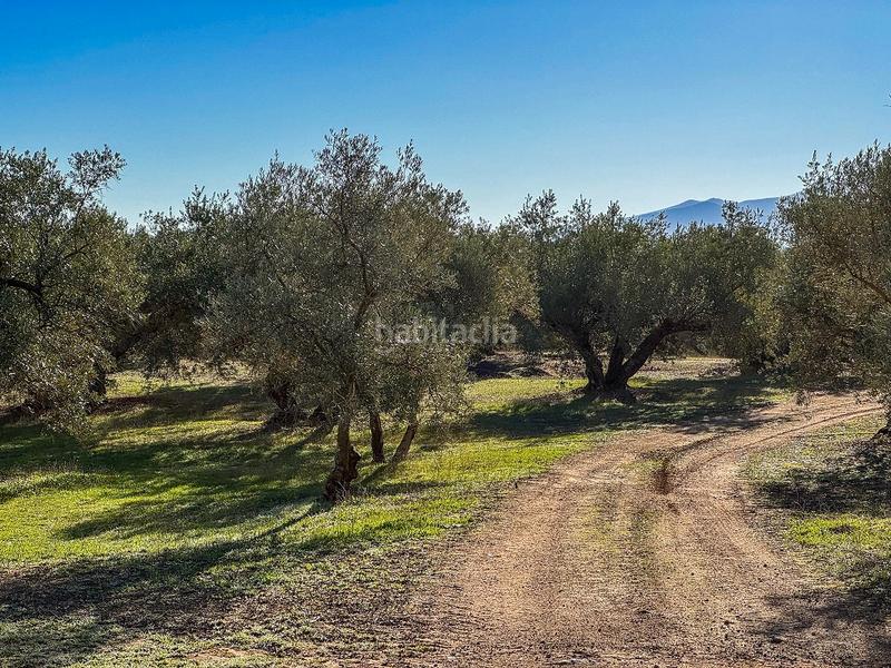 Foto ba7ef614-dce0-4faf-944d-4bdbd432c681. Finca rústica a Loja