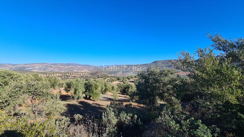 Foto cfe397da-6306-4b3d-93bd-8e320a67f896. Finca rústica a Loja