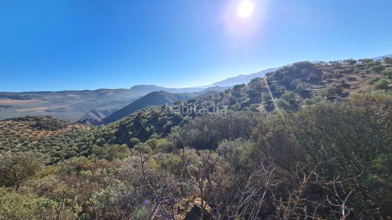Foto d5a3a086-703a-4d1d-9f55-7b440c9eb0ef. Finca rústica a Loja