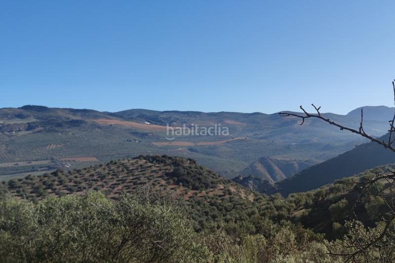 Foto eafae1a6-a953-4cdd-b3d6-3f89c343383e. Finca rústica a Loja