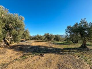 Finca rústica  Paraje cortijo de mora y marañon. Terreno en venta