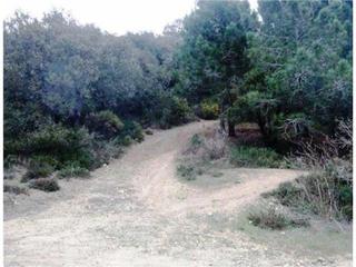 Rural plot  Partida devesas. Terreno en venta