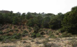Terreny residencial  Sector 4 el pinar de bedar. Terreno en venta