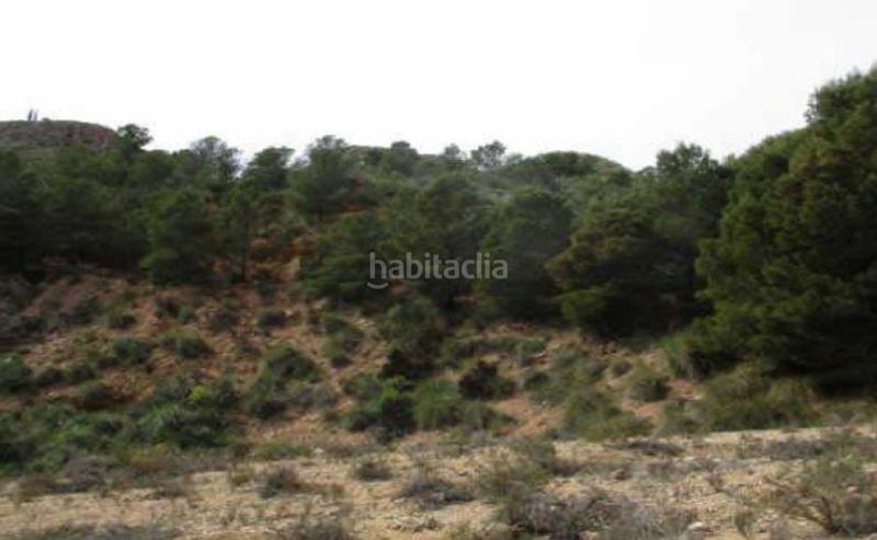 Foto 42942403-9484-425a-8a7f-a3280f2f53e3. Terreno residenziale in Bédar