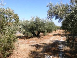 Finca rústica  La capitana. Terreno en venta