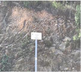 Finca rústica  Orenetes urbanización serra brava nord. Terreno en venta