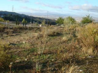 Terreny residencial a Pp sau 8. parcela 5. Terreno en venta