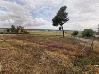 Residential Plot in Cotarro de san pedro 1. Terreno en venta