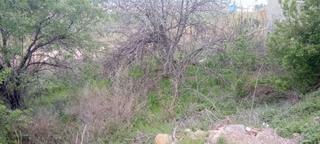 Terreno residencial en Marlofa paraje costera 295. Terreno en venta