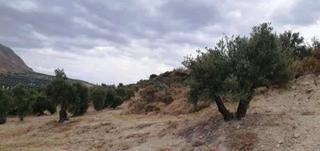 Finca rústica  Barranco de la adelfa. Terreno en venta