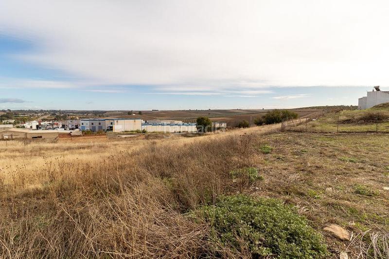 Foto 21da4f6c-a172-4257-aa71-2018f5fdfc4c. Wohngrundstück in Carlota (La)