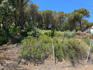 Terreny residencial a Orenetes 51. Terreno en venta