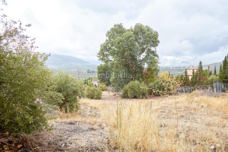 Foto 1152d87f-b46f-43b7-9ac1-c77636722afe. Terrain résidentiel dans Guardia de Jaén (La)