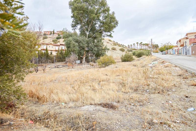 Foto 166ff1a7-6d07-43cd-8159-b0b5fc4679ed. Terrain résidentiel dans Guardia de Jaén (La)
