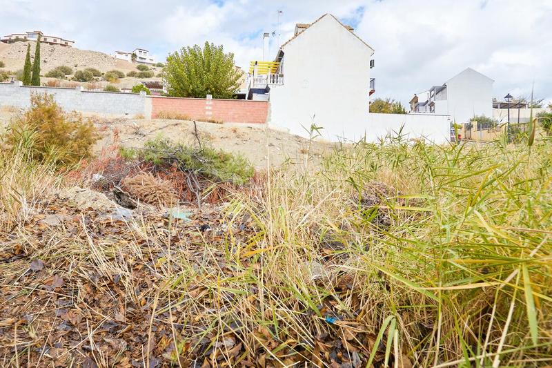 Foto cc870881-a530-48ad-986c-5921f3cc211b. Terrain résidentiel dans Guardia de Jaén (La)