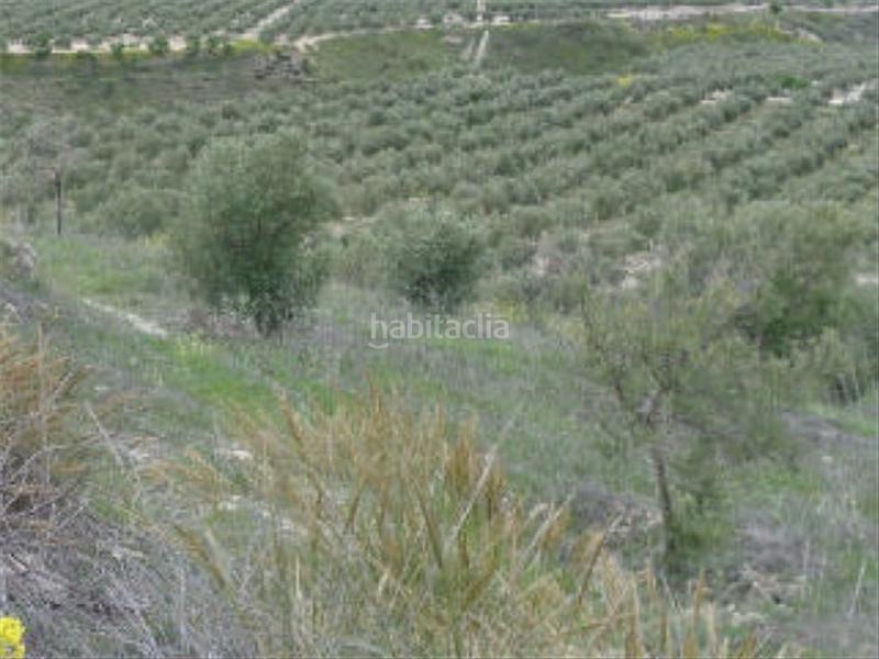 Foto 16601694-5db3-4304-b83d-835a7621e934. Finca rústica terreno en venta en Quesada