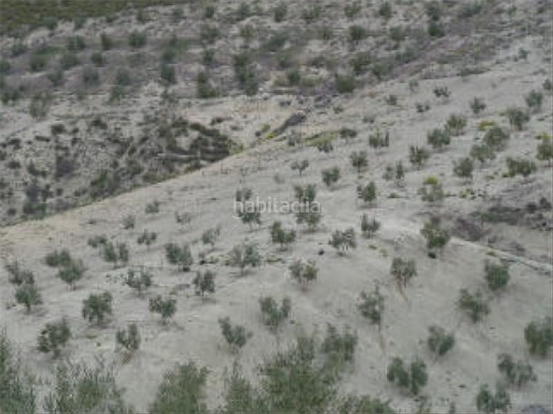 Foto ba4423bd-50bf-4bfd-b722-3bd00192b207. Finca rústica terreno en venta en Quesada
