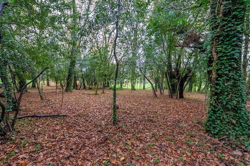 Foto 25ac0483-3065-4697-b16a-cf378033d15f. Wohngrundstück in Bertamirans Ames