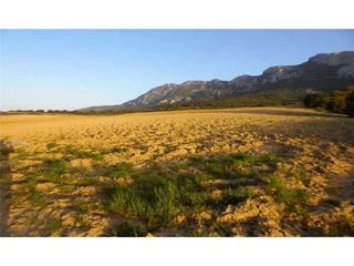 Finca rústica a Ribazos de san pedro 1059. Terreno en venta