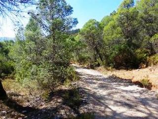 Finca rústica  Paraje parrrilla, el conde y natao. Terreno en venta