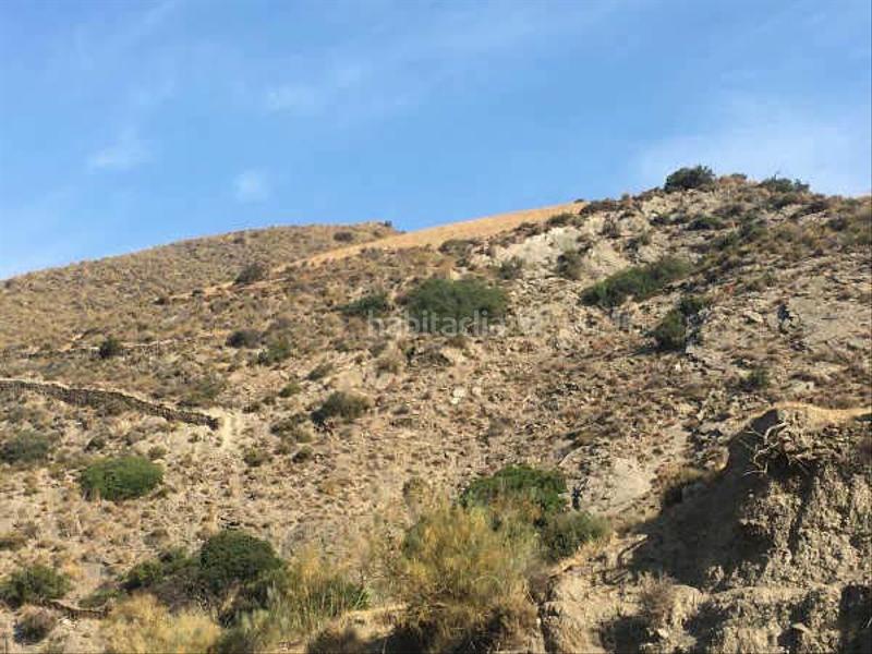 Foto 004f6106-205b-464d-984b-e8d290012c33. Finca rústica terreno en venta en Adra