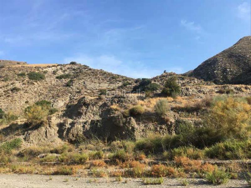 Foto 187232a5-4dc8-4834-a07a-c08dc409b995. Fondo rustico in Adra