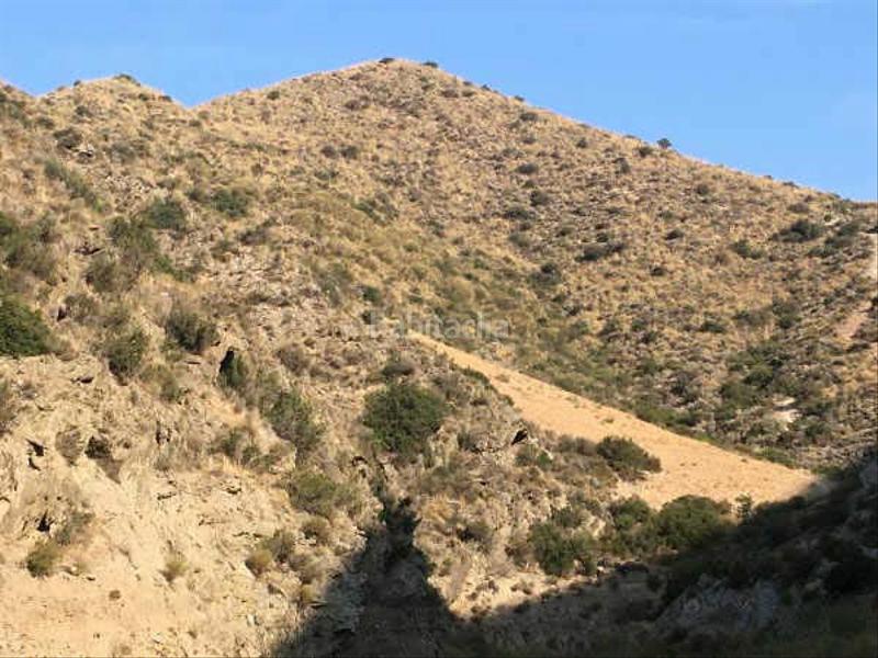 Foto 3ce94205-5d00-40c0-85bc-d18342495208. Fondo rustico in Adra