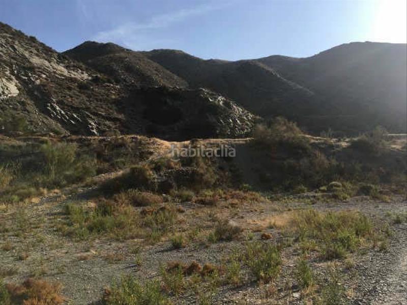 Foto 63106a4e-28bf-4290-8b3a-af9a092d0b80. Fondo rustico in Adra