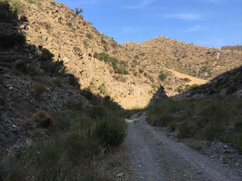 Foto 71a37f19-01c2-4c98-bbf9-c7b09ad99a10. Finca rústica terreno en venta en Adra