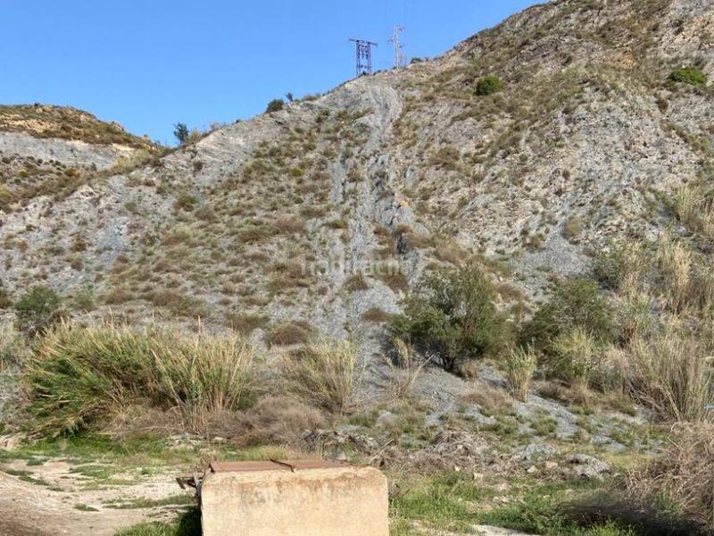 Foto 7d635104-9ead-4f74-9ee9-6cafa0b12db4. Fondo rustico in Adra