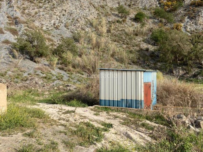 Foto a8d49a35-ea45-4e44-8d30-c63b52585060. Fondo rustico in Adra