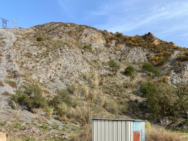 Foto ebc1c368-d1fe-458a-bf4d-94f9dcb1bbf1. Fondo rustico in Adra