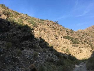 Finca rústica  Pago de la alcazaba. Terreno en venta