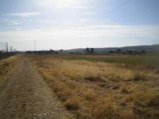 Residential Plot  Palma del rio. Terreno en venta