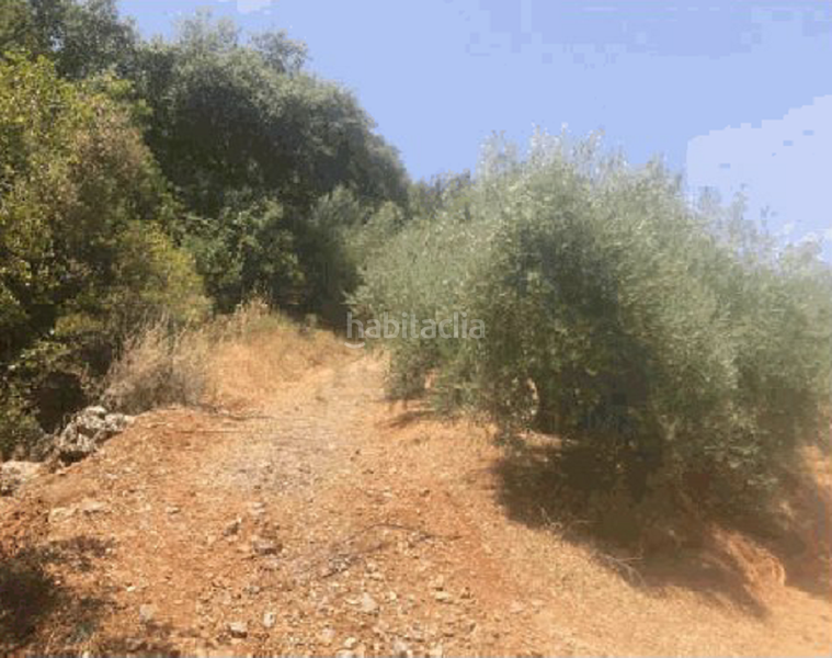 Foto 13fb7828-926d-4bfe-b259-4e60f8b6316d. Finca rústica terreno en venta en Martos