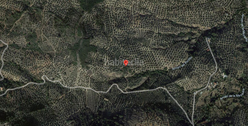 Foto 43987369-ab03-4dae-82d7-820817121336. Finca rústica terreno en venta en Martos