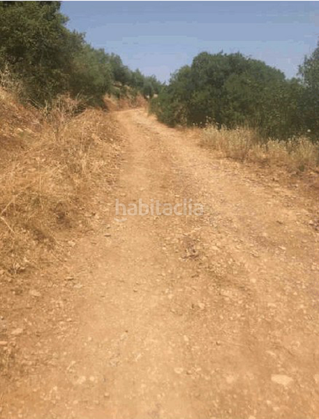 Foto 828f3ab6-8468-49bb-b104-a4e0da4e96f9. Finca rústica terreno en venta en Martos