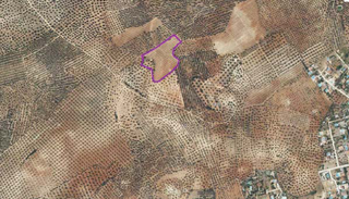 Fondo rustico  Pago redondo. Terreno en venta