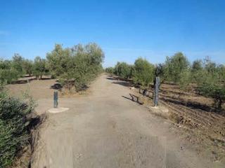 Propriété  Pedregal vereda. Terreno en venta