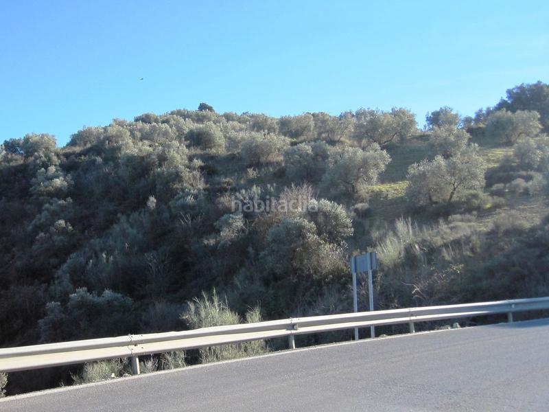 Foto 876c75bb-c140-4bd3-9245-7a5c55de5c09. Finca rústica terreno en venta en Archidona