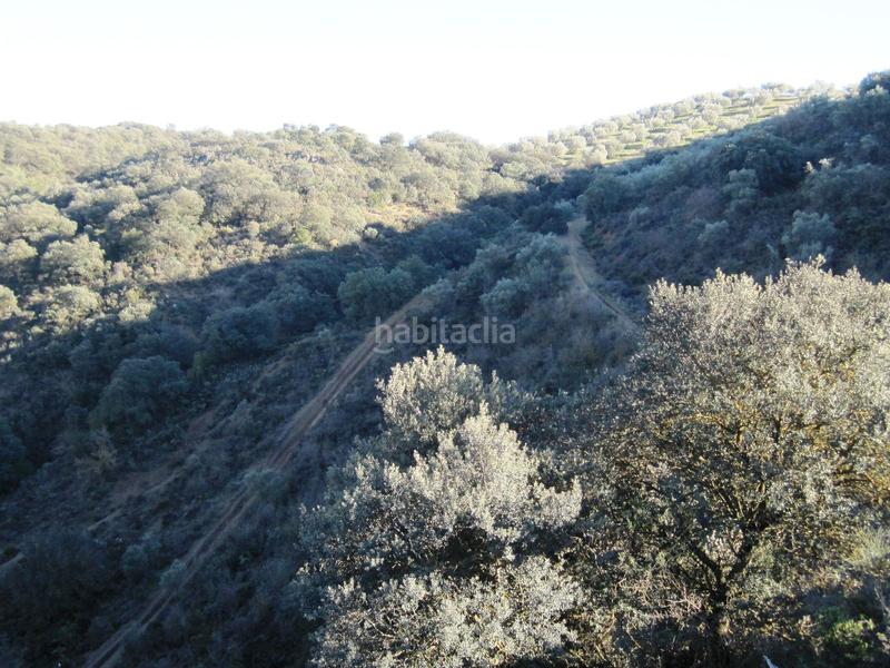 Foto a8fc004f-1475-47da-a61a-d55f53d2cb9b. Finca rústica terreno en venta en Archidona