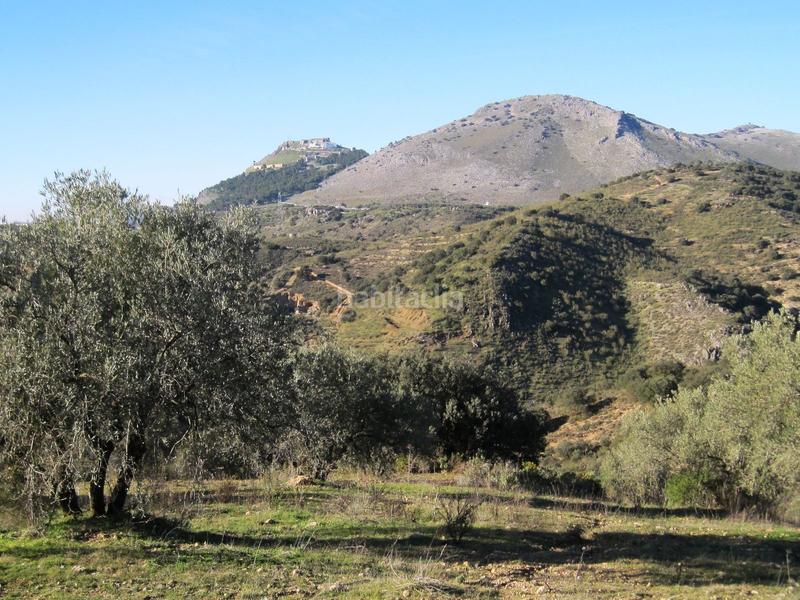 Foto f8dbfe95-88fb-456f-a444-d1d0e6b0abfa. Finca rústica terreno en venta en Archidona