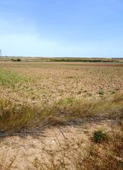 Finca rústica  Del ebro. Terreno en venta