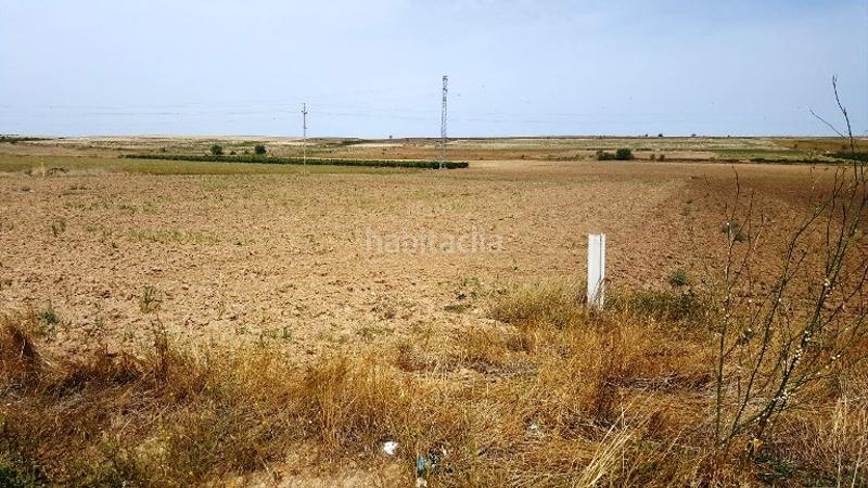Foto dbf2478f-157a-4601-a0dd-24c13e54d73f. Finca rústica terreno en venta en Lodosa