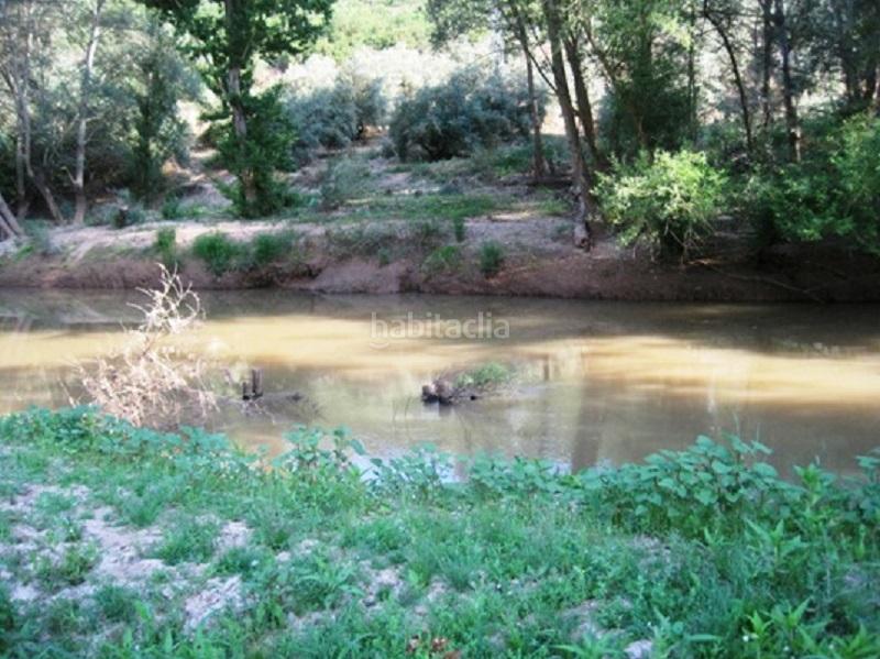 Foto 168915ff-4f8d-485c-b5ec-07a82d4be34f. Rural plot in Navas de San Juan