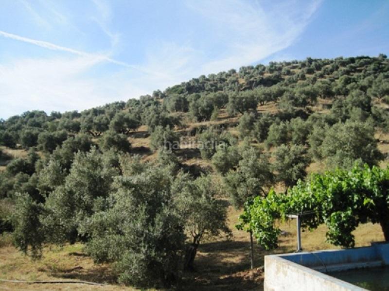 Foto 41dadd23-bb1a-45bd-b15f-8d5968797679. Rural plot in Navas de San Juan