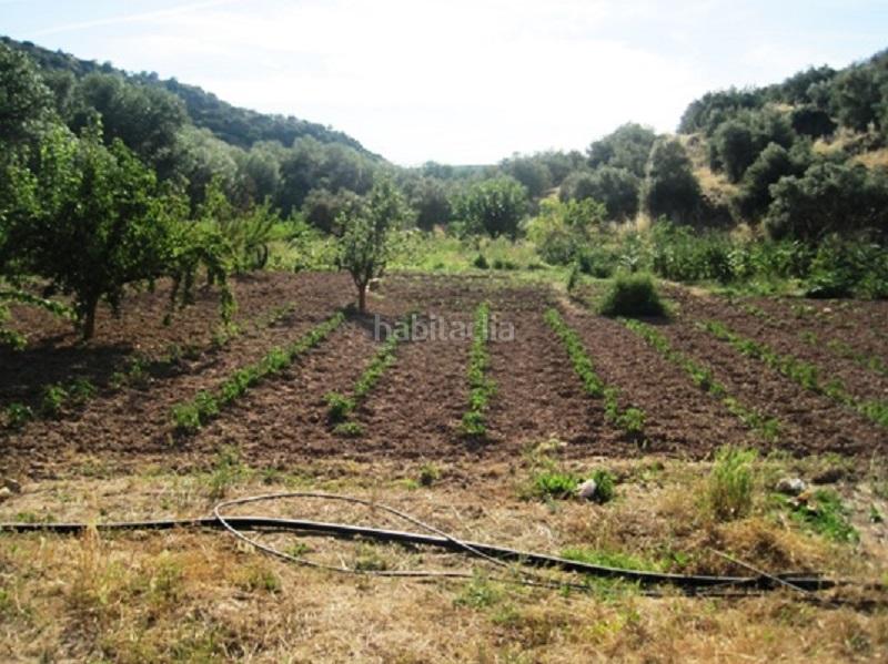 Foto 4f801c53-6c44-4a57-98b8-dc4940529498. Rural plot in Navas de San Juan