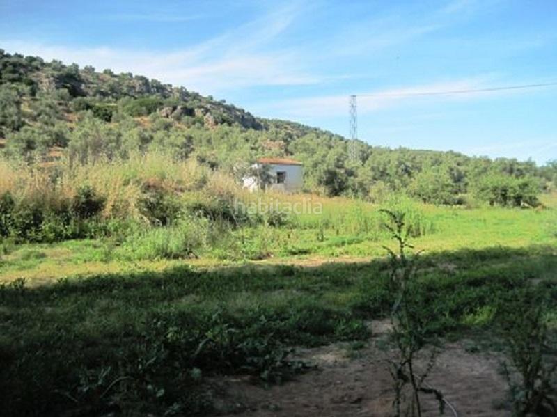 Foto e5d5f52d-319e-4a98-aab8-510e8fbc67ff. Rural plot in Navas de San Juan